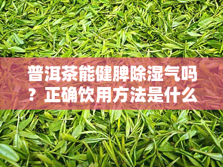 普洱茶能健脾除湿气吗？正确饮用方法是什么？