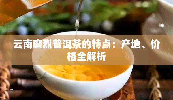 云南磨烈普洱茶的特点：产地、价格全解析