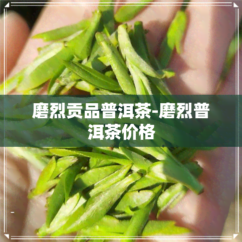 磨烈贡品普洱茶-磨烈普洱茶价格