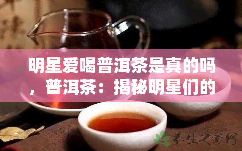 明星爱喝普洱茶是真的吗，普洱茶：揭秘明星们的更爱饮品