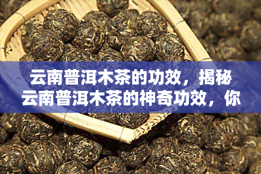 云南普洱木茶的功效，揭秘云南普洱木茶的神奇功效，你不可不知！