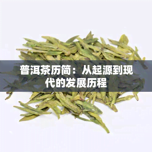 普洱茶历简：从起源到现代的发展历程