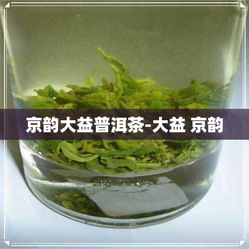 京韵大益普洱茶-大益 京韵