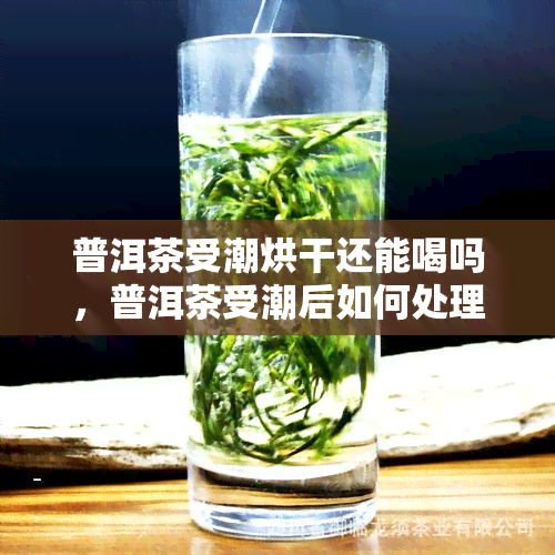 普洱茶受潮烘干还能喝吗，普洱茶受潮后如何处理？烘干后是否还能饮用？