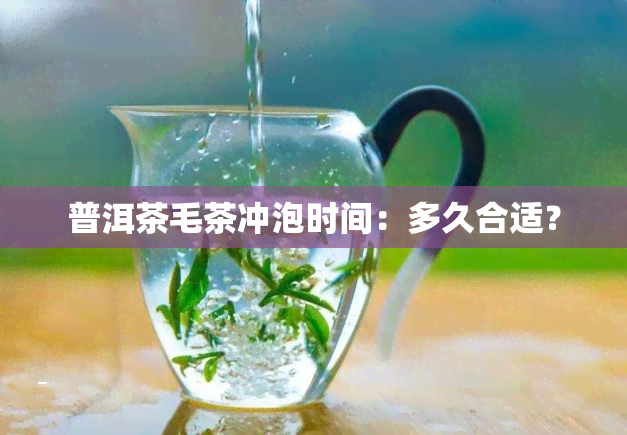 普洱茶毛茶冲泡时间：多久合适？