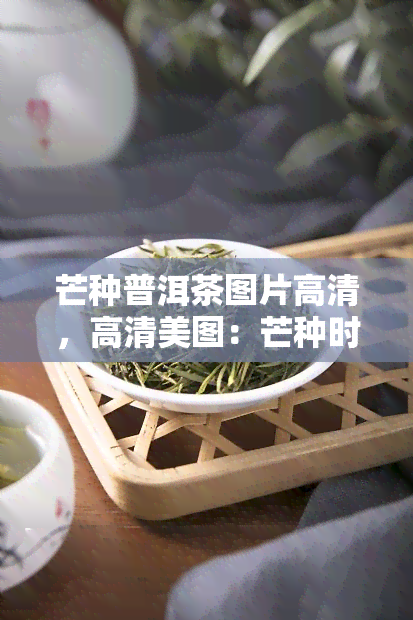 芒种普洱茶图片高清，高清美图：芒种时节品鉴普洱茶的美好时刻