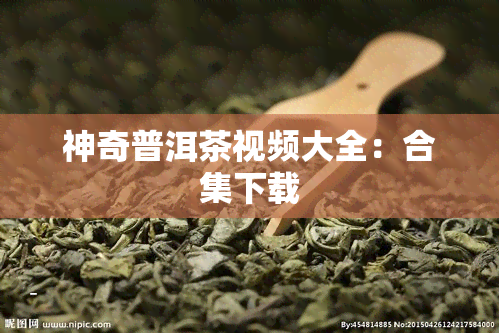 神奇普洱茶视频大全：合集下载