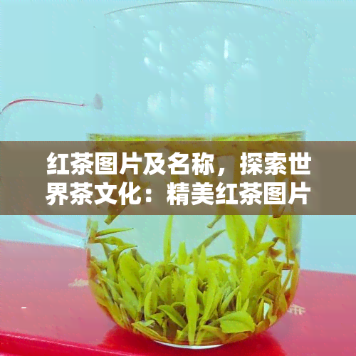 红茶图片及名称，探索世界茶文化：精美红茶图片与详细品种名称解析