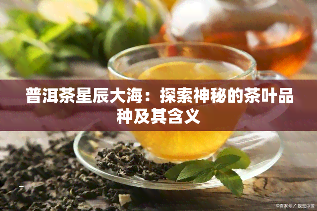 普洱茶星辰大海：探索神秘的茶叶品种及其含义