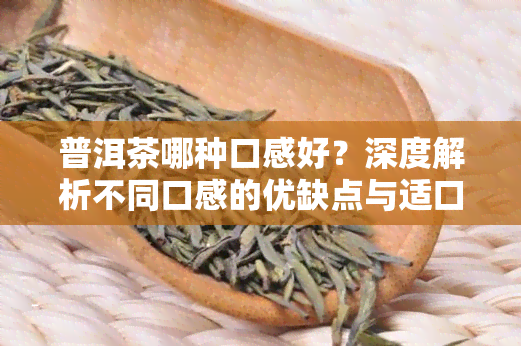 普洱茶哪种口感好？深度解析不同口感的优缺点与适口性