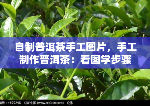 自制普洱茶手工图片，手工制作普洱茶：看图学步骤，轻松自制美味茶饮！