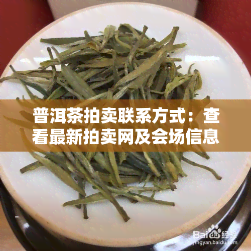 普洱茶拍卖联系方式：查看最新拍卖网及会场信息