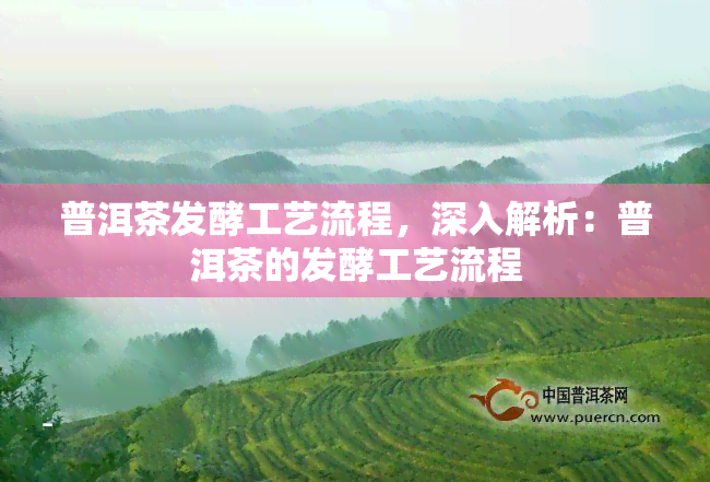 普洱茶发酵工艺流程，深入解析：普洱茶的发酵工艺流程