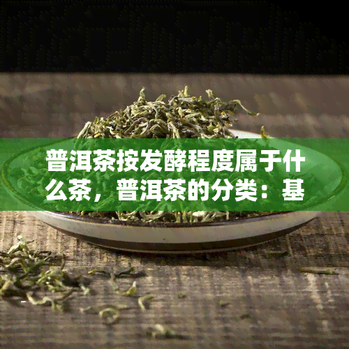 普洱茶按发酵程度属于什么茶，普洱茶的分类：基于发酵程度的探讨