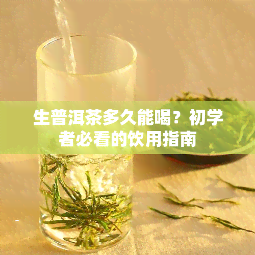 生普洱茶多久能喝？初学者必看的饮用指南