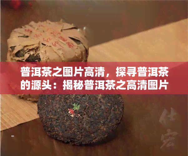 普洱茶之图片高清，探寻普洱茶的源头：揭秘普洱茶之高清图片