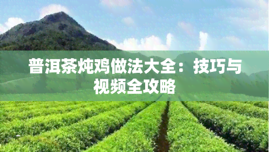 普洱茶炖鸡做法大全：技巧与视频全攻略