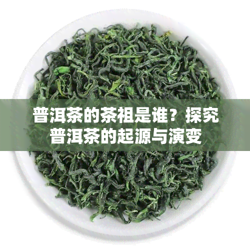 普洱茶的茶祖是谁？探究普洱茶的起源与演变