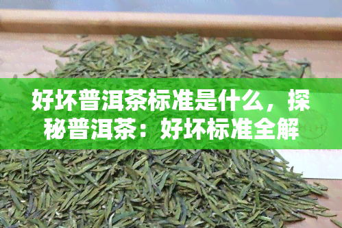 好坏普洱茶标准是什么，探秘普洱茶：好坏标准全解析