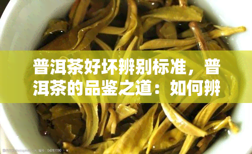 普洱茶好坏辨别标准，普洱茶的品鉴之道：如何辨别其优劣？