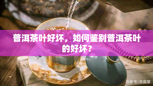 普洱茶叶好坏，如何鉴别普洱茶叶的好坏？