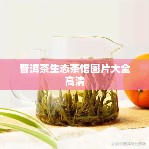 普洱茶生态茶馆图片大全高清