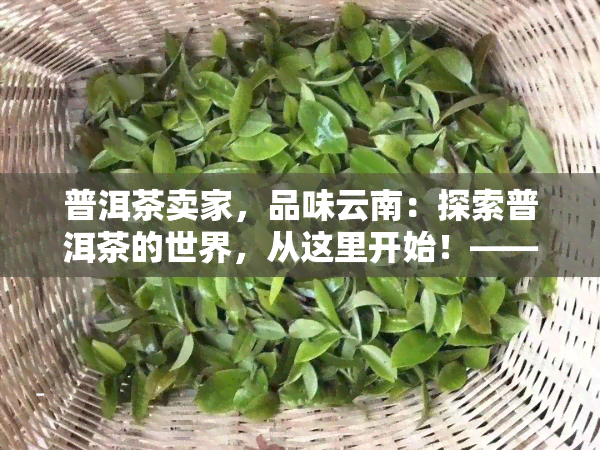 普洱茶卖家，品味云南：探索普洱茶的世界，从这里开始！——专业普洱茶卖家推荐