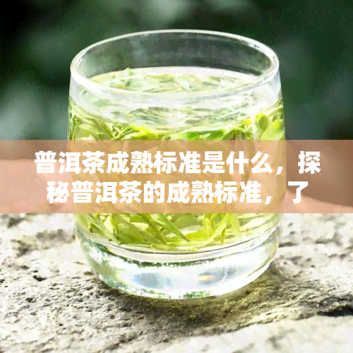 普洱茶成熟标准是什么，探秘普洱茶的成熟标准，了解其独特的品质特征