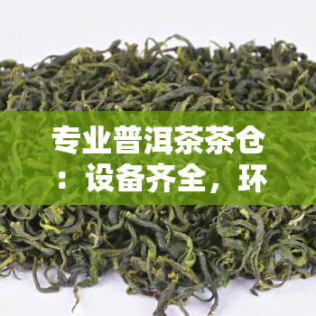 专业普洱茶茶仓：设备齐全，环境适宜，是存放普洱茶的理想场所