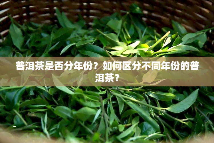 普洱茶是否分年份？如何区分不同年份的普洱茶？