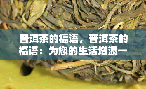 普洱茶的福语，普洱茶的福语：为您的生活增添一份馨与美好