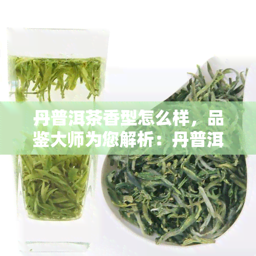 丹普洱茶香型怎么样，品鉴大师为您解析：丹普洱茶香型的独特魅力！