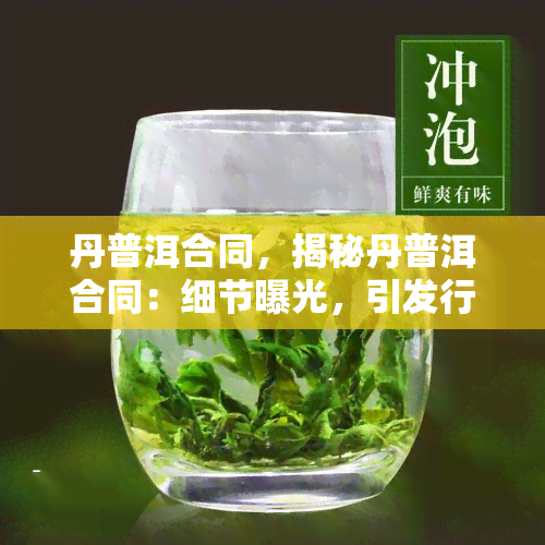 丹普洱合同，揭秘丹普洱合同：细节曝光，引发行业关注