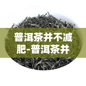 普洱茶并不减肥-普洱茶并不减肥可以喝吗