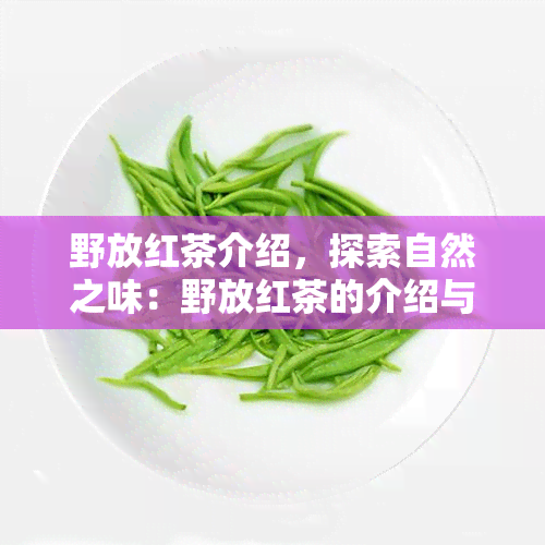 野放红茶介绍，探索自然之味：野放红茶的介绍与品尝