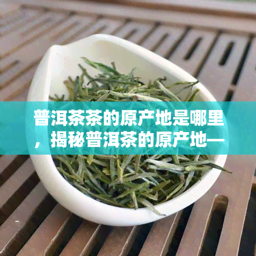 普洱茶茶的原产地是哪里，揭秘普洱茶的原产地——云南