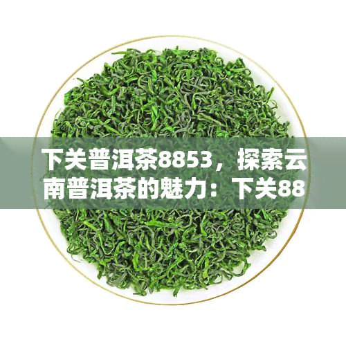 下关普洱茶8853，探索云南普洱茶的魅力：下关8853的传说与品味