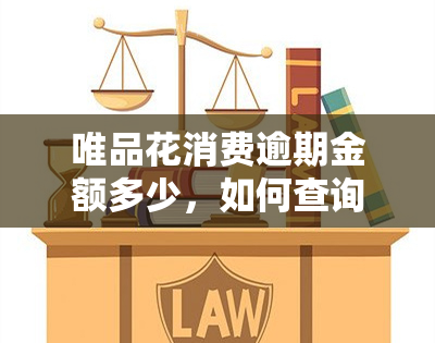 唯品花消费逾期金额多少，如何查询唯品花消费逾期金额？