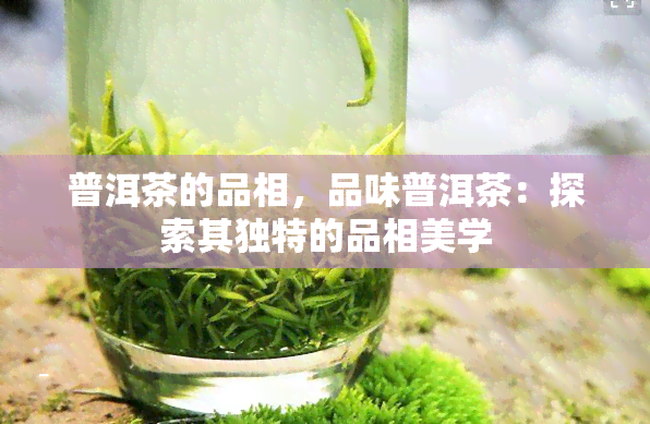 普洱茶的品相，品味普洱茶：探索其独特的品相美学