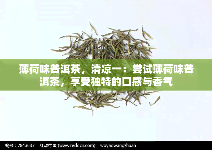 薄荷味普洱茶，清凉一：尝试薄荷味普洱茶，享受独特的口感与香气