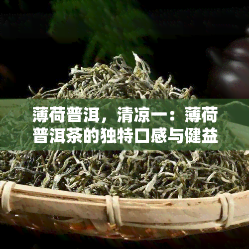 薄荷普洱，清凉一：薄荷普洱茶的独特口感与健益处