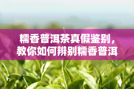 糯香普洱茶真假鉴别，教你如何辨别糯香普洱茶的真伪