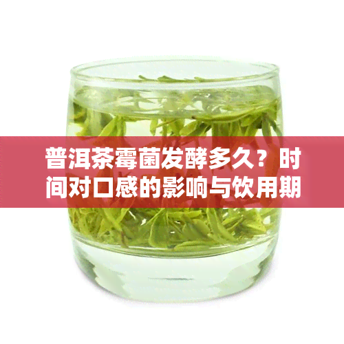 普洱茶霉菌发酵多久？时间对口感的影响与饮用期解析