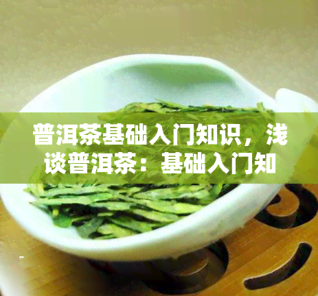 普洱茶基础入门知识，浅谈普洱茶：基础入门知识全解析