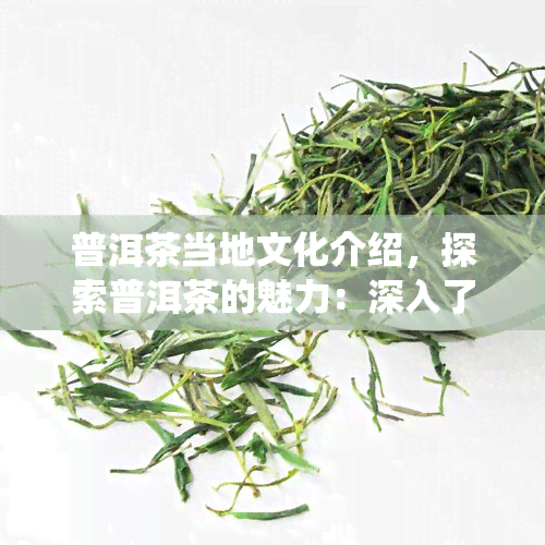 普洱茶当地文化介绍，探索普洱茶的魅力：深入了解当地的文化和传统