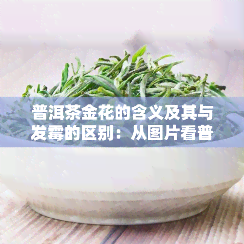 普洱茶金花的含义及其与发霉的区别：从图片看普洱茶的金花特征