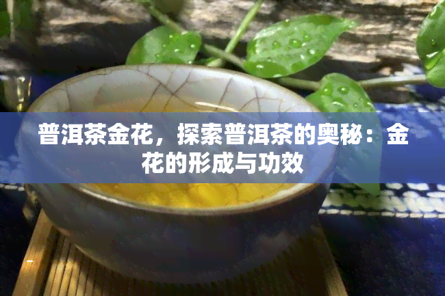 普洱茶金花，探索普洱茶的奥秘：金花的形成与功效