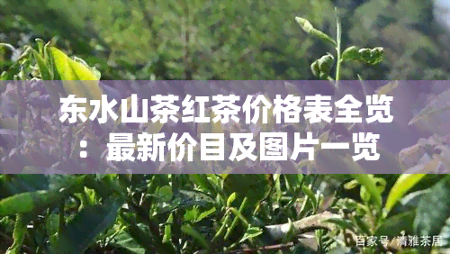 东水山茶红茶价格表全览：最新价目及图片一览