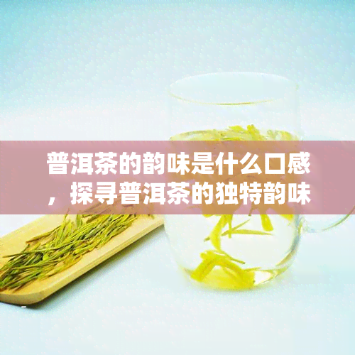 普洱茶的韵味是什么口感，探寻普洱茶的独特韵味：口感解析