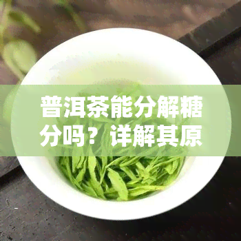 普洱茶能分解糖分吗？详解其原理与功效